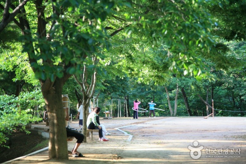 宝文山大公園 (26/26)