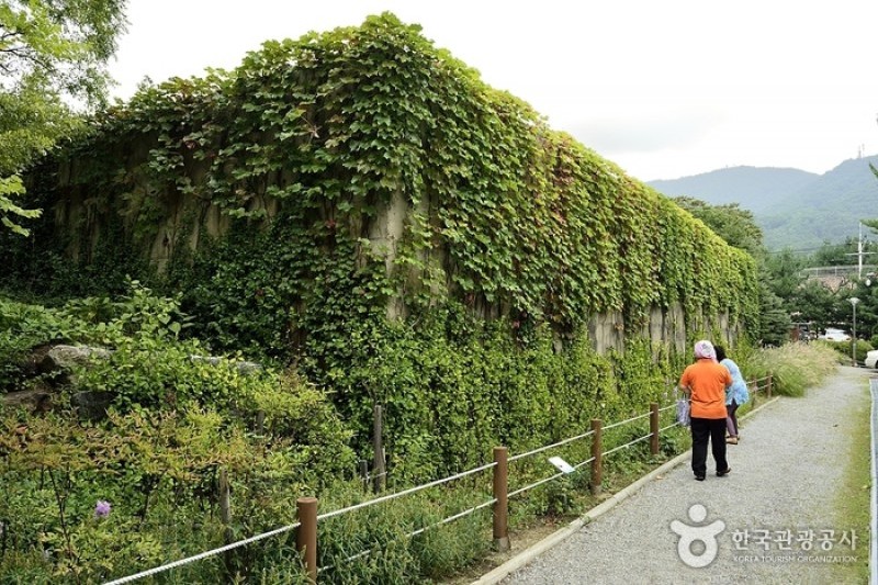 銀杏植物園 (2/4)