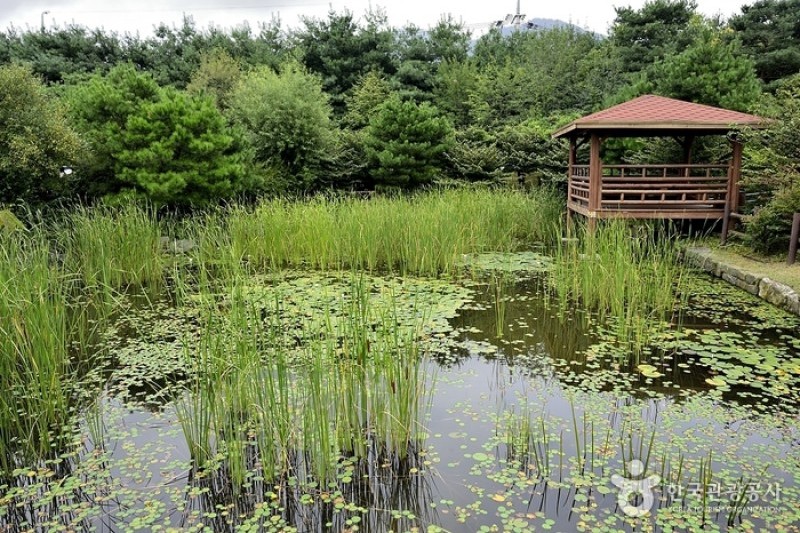 銀杏植物園 (3/4)