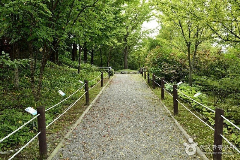 銀杏植物園 (4/4)