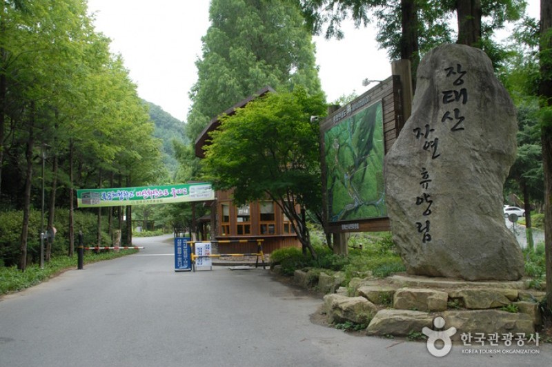 長泰山自然休養林 (7/19)