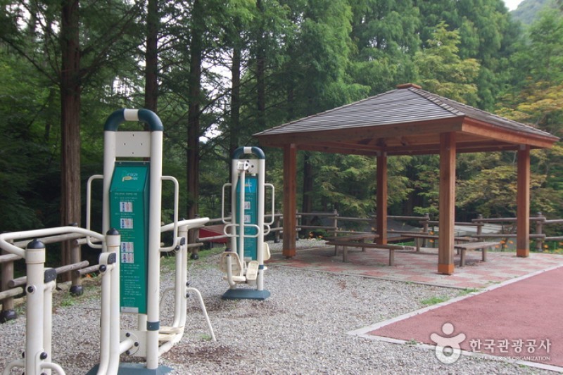 長泰山自然休養林 (10/19)