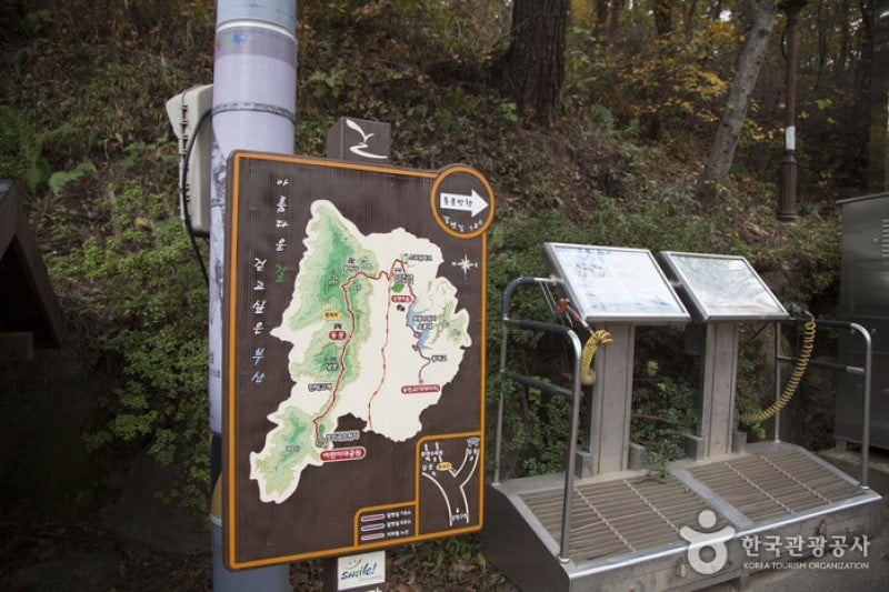 金井山 (4/6)