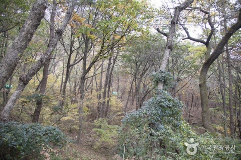 金井山 (5/6)