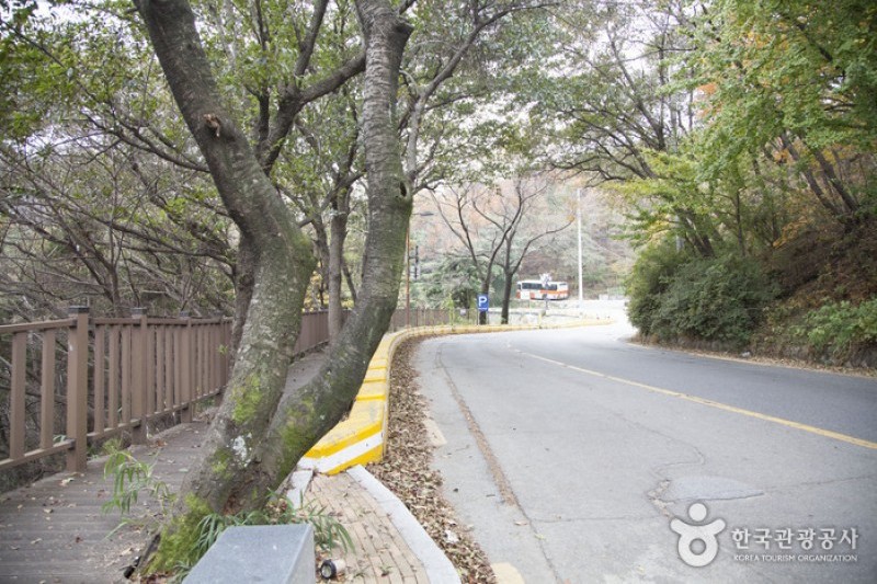 金井山 (6/6)