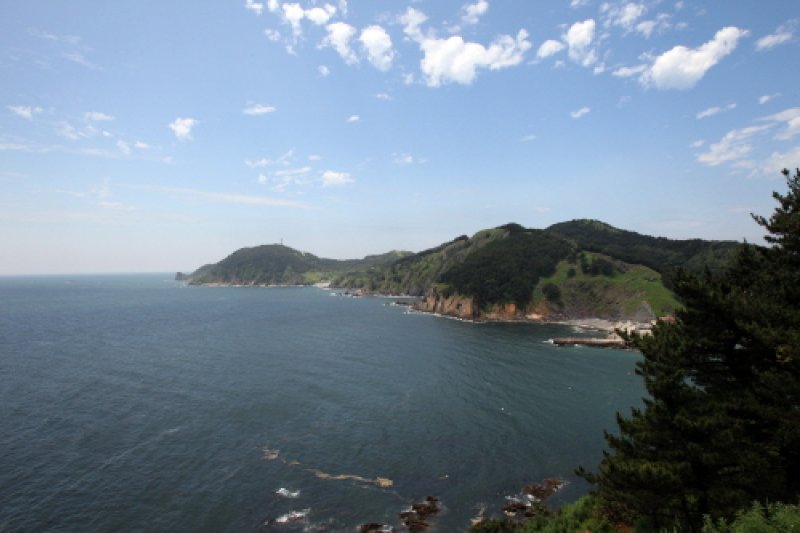小青島 (6/15)