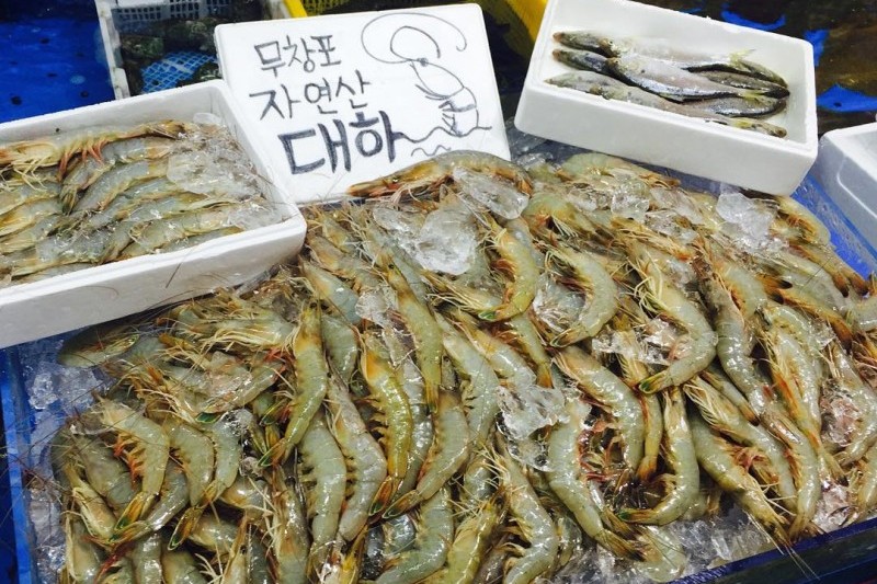 武昌浦神秘の海割れ大海老・コノシロ祭り무창포 신비의 바닷길 대하ㆍ전어축제 (10/10)