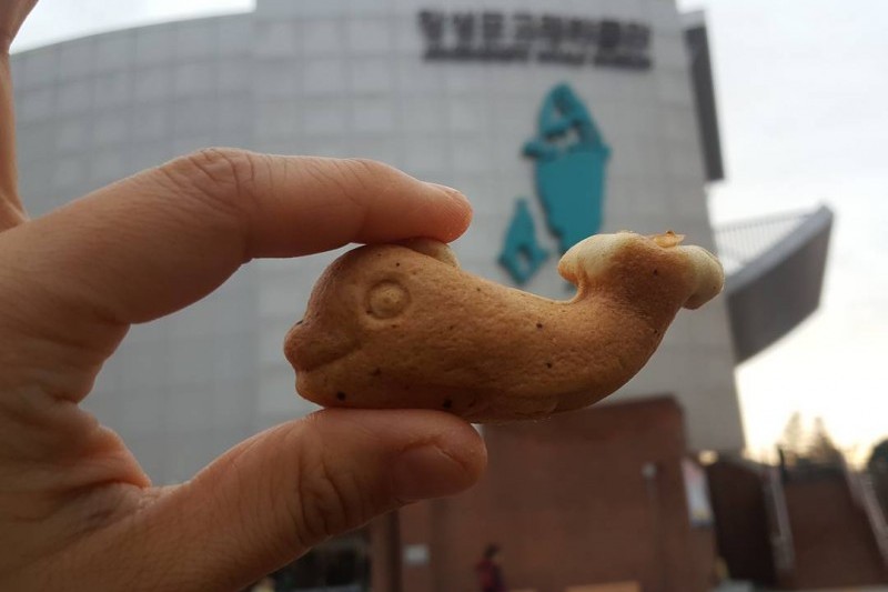 長生浦クジラ博物館 (8/8)