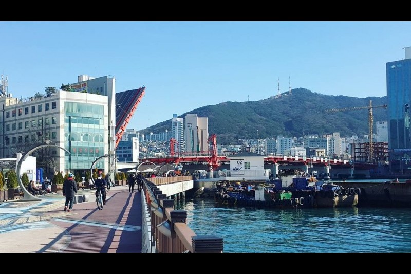 影島大橋 (10/10)