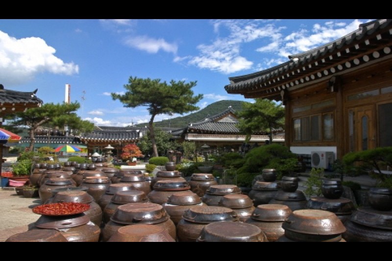 淳昌醤類体験館 (1/9)