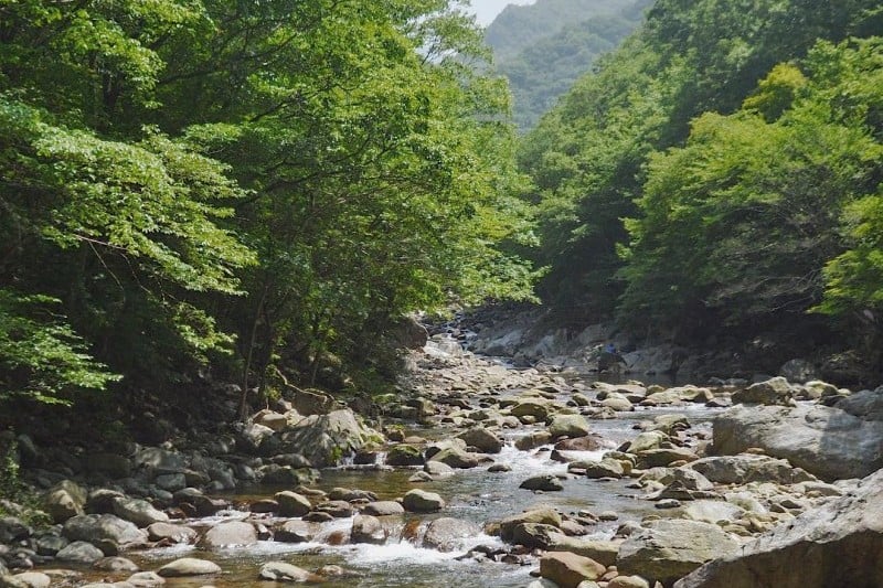 智異山10景 (6/14)