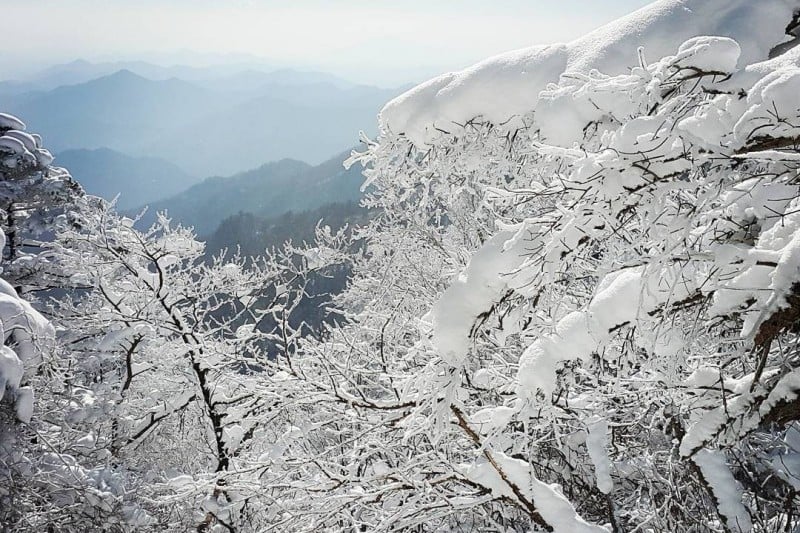 智異山10景 (14/14)