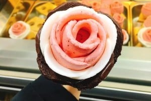 Milky Bee 明洞本店