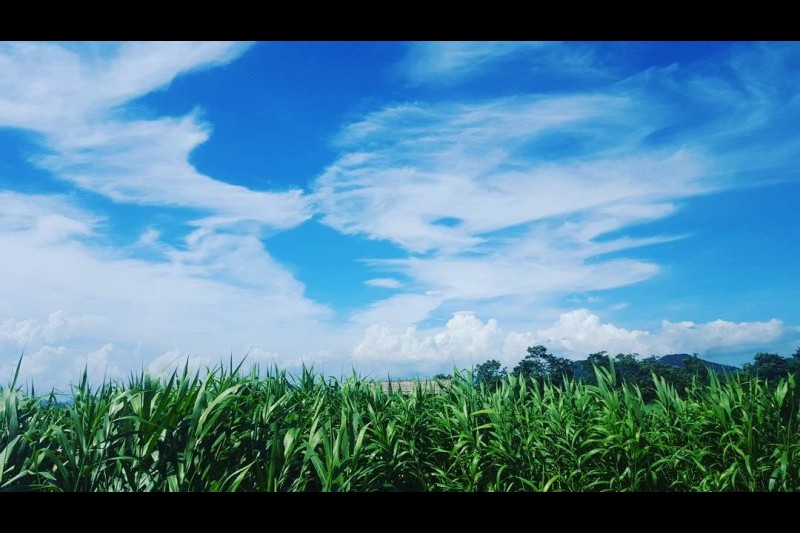 順天湾自然生態館 (7/9)