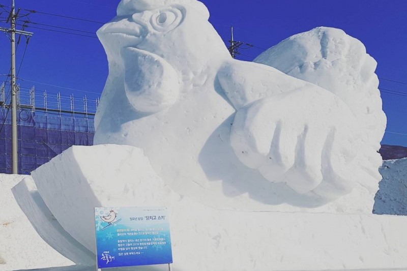 大関嶺雪花祭り (22/32)