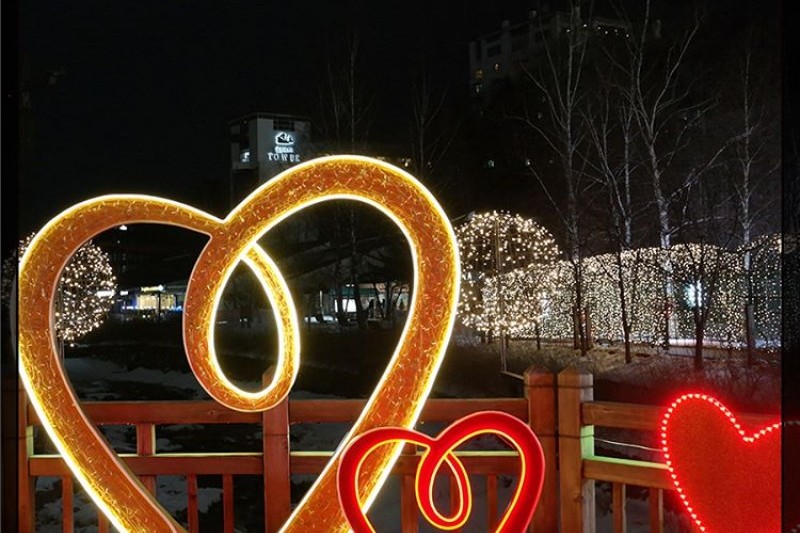 大関嶺雪花祭り (25/32)