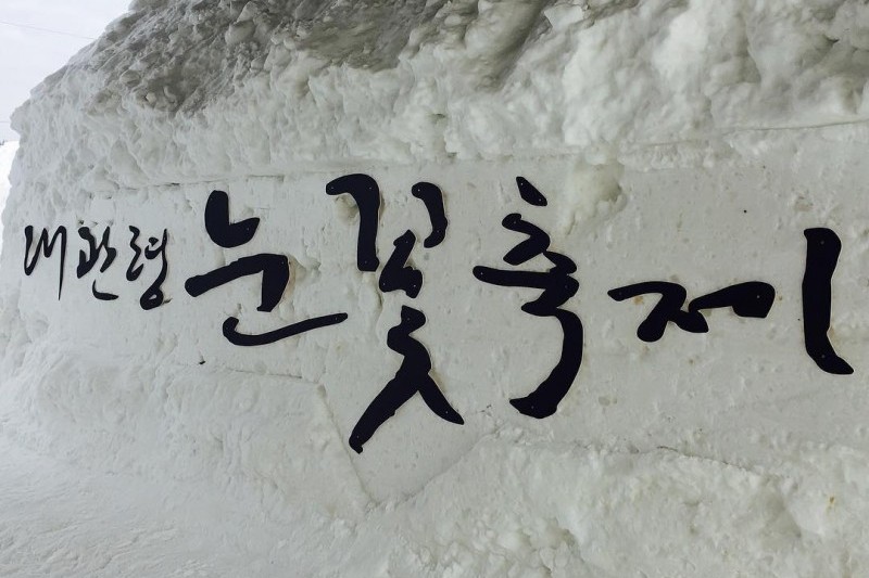 大関嶺雪花祭り (26/32)