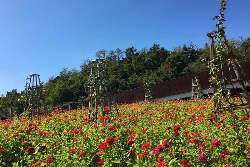 西ソウル湖公園 (2/3)
