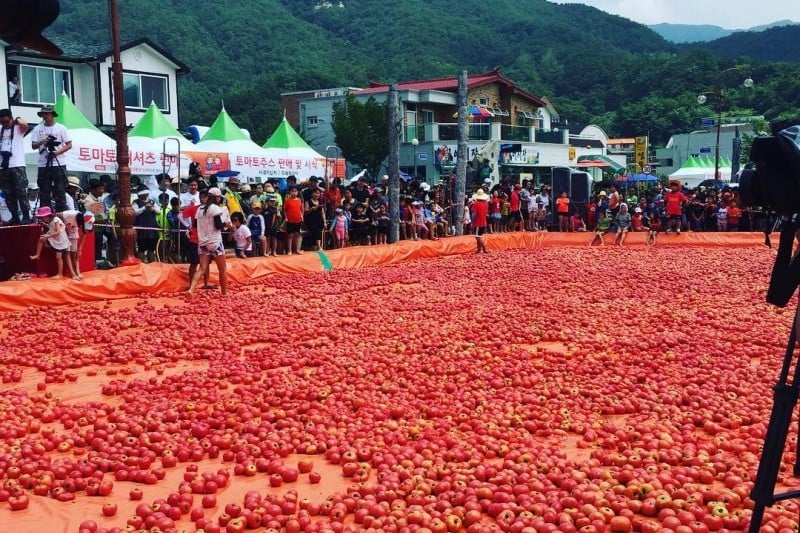 華川トマト祭り (5/7)