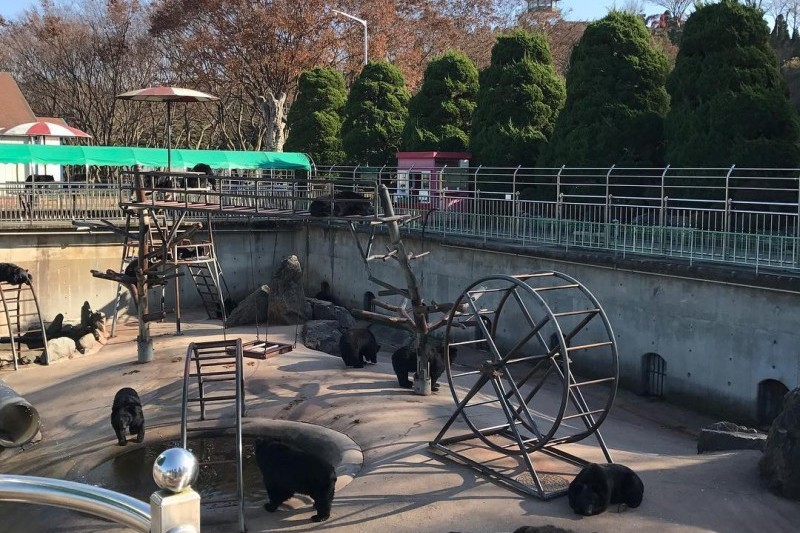 ベアツリーパーク (19/19)