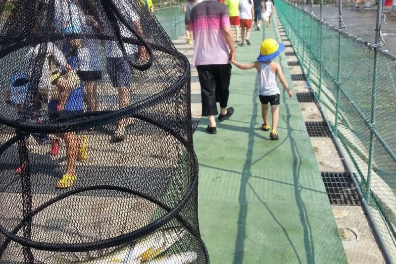 奉化鮎祭り (8/8)