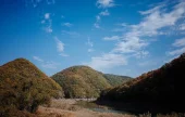 盤亀台