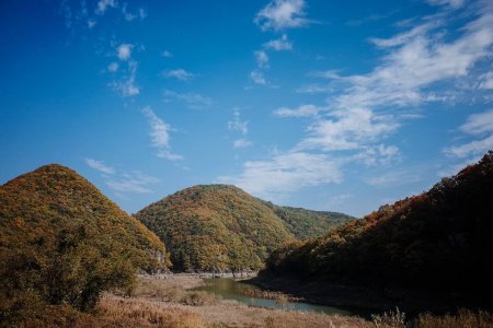 盤亀台