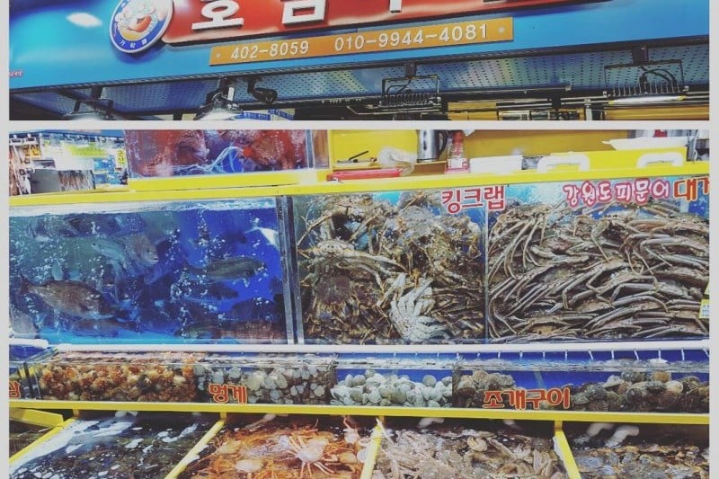 可楽市場(可楽洞農水畜産物市場) (7/19)