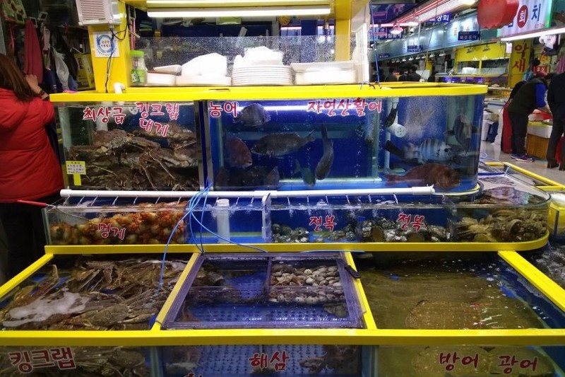 可楽市場(可楽洞農水畜産物市場) (13/19)