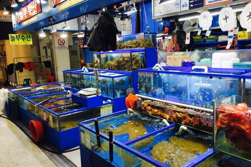 可楽市場(可楽洞農水畜産物市場) (14/19)