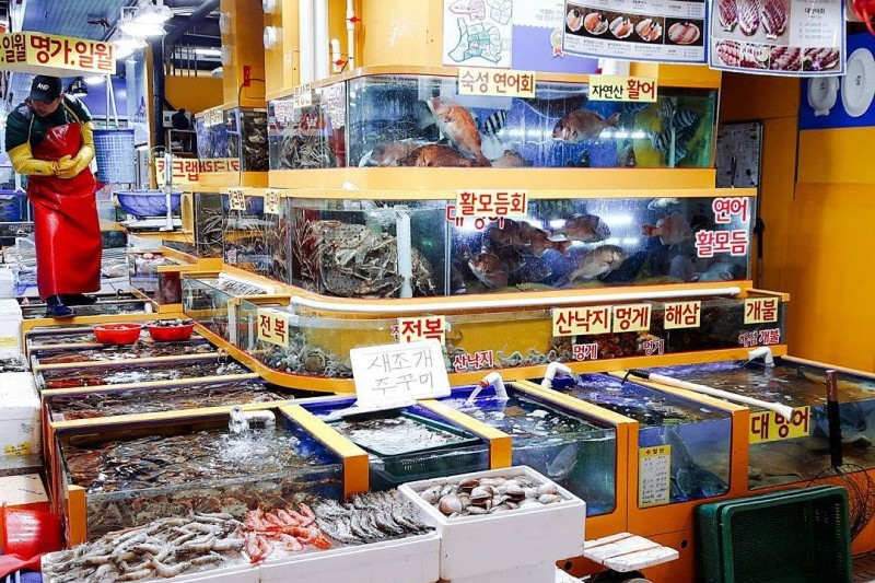 可楽市場(可楽洞農水畜産物市場) (15/19)