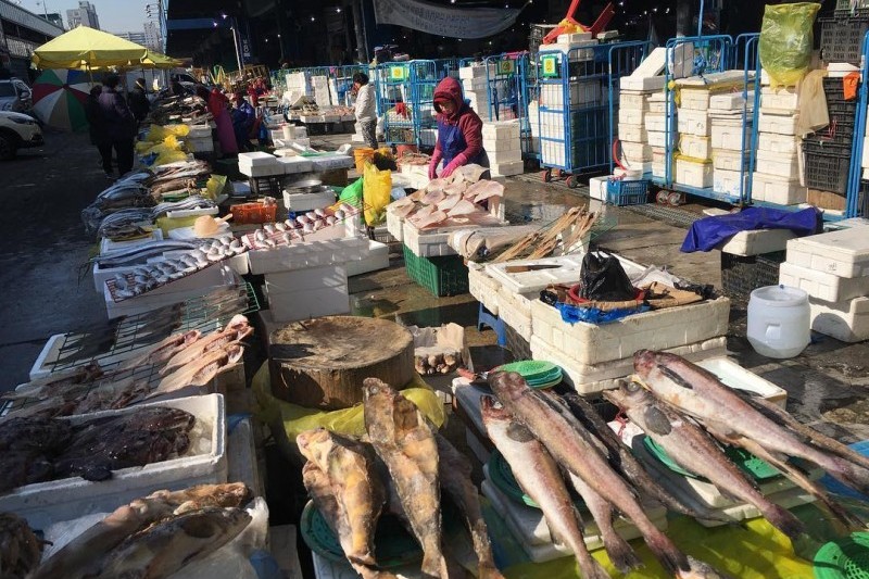 可楽市場(可楽洞農水畜産物市場) (19/19)