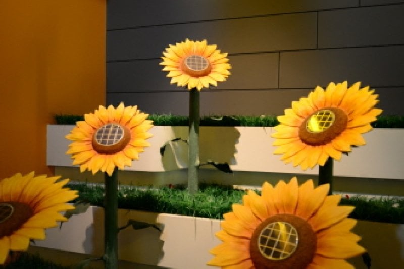 盈徳 新再生エネルギー展示館 (10/10)