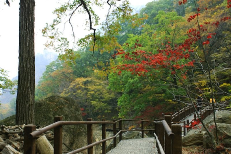 雪岳山国立公園（南雪岳）（설악산국립공원 (5/11)