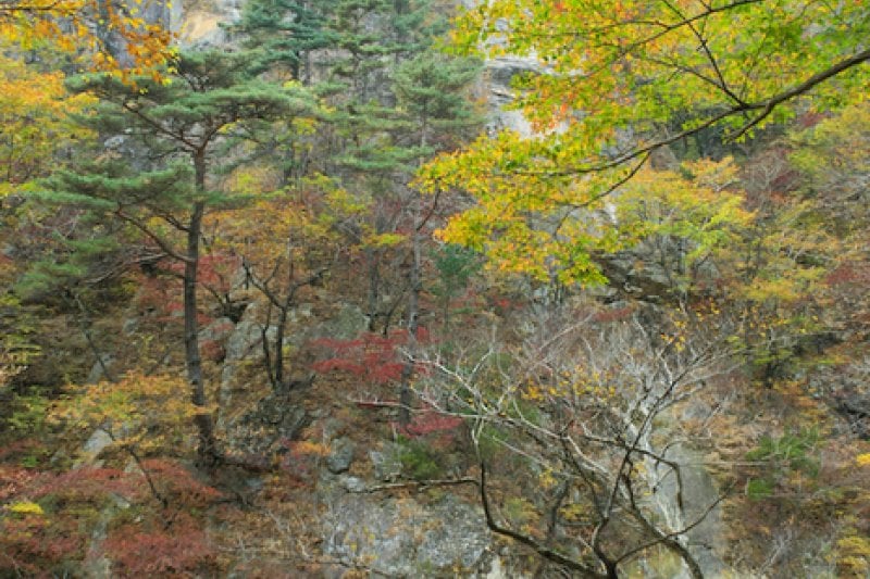 雪岳山国立公園（南雪岳）（설악산국립공원 (6/11)