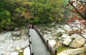 雪岳山国立公園（南雪岳）（설악산국립공원
