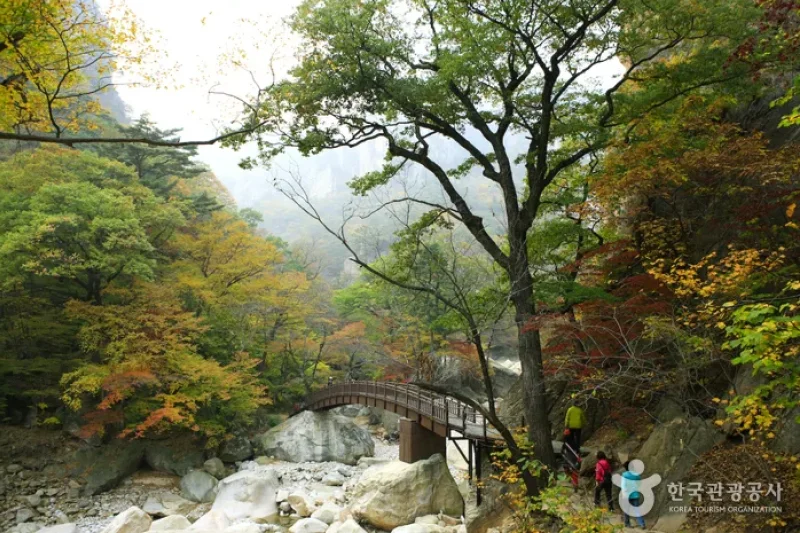 雪岳山国立公園（南雪岳）（설악산국립공원 (11/11)