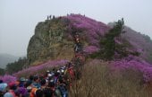 霊鷲山