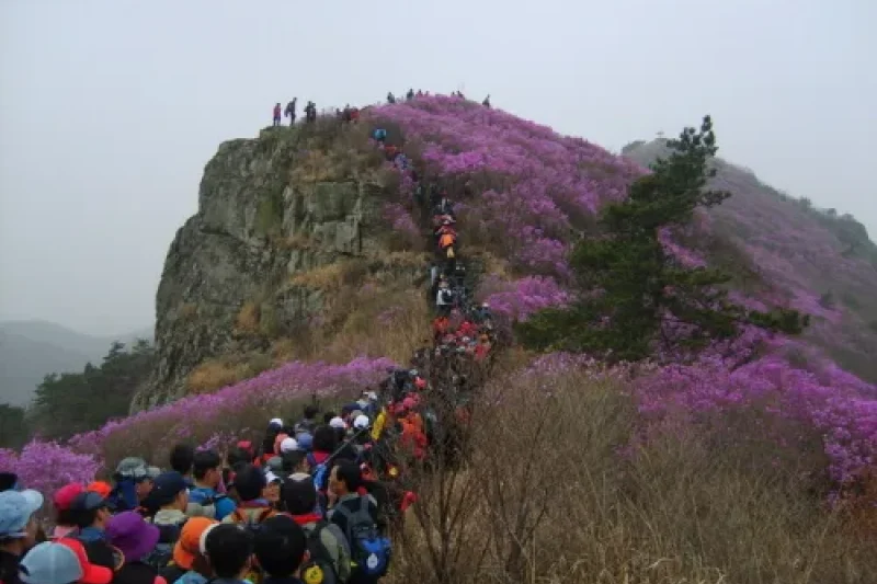 霊鷲山 (3/6)