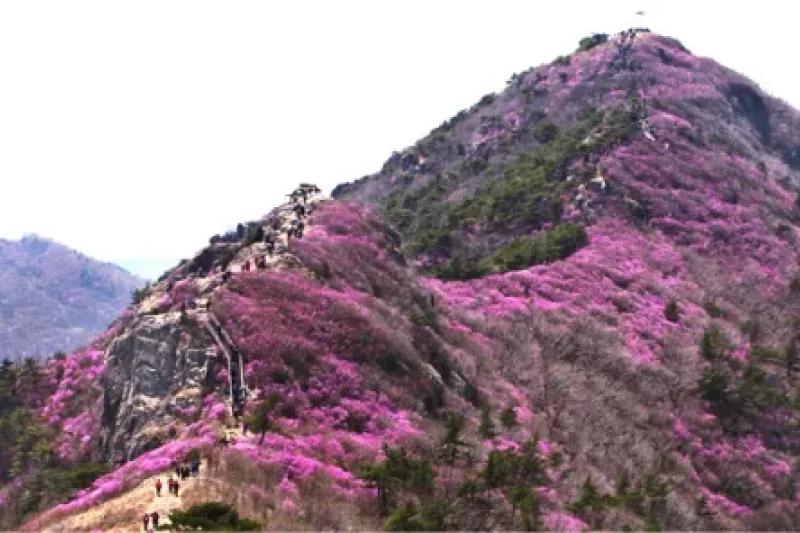 霊鷲山 (5/6)
