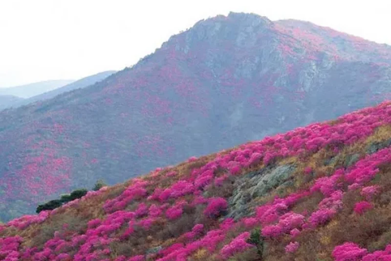 霊鷲山 (6/6)
