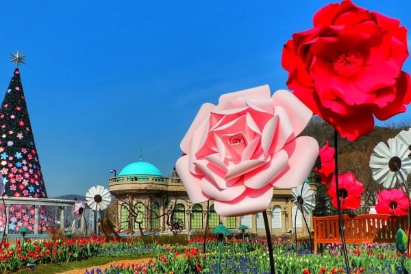 春のピクニックにぴったり! 春の花が楽しめる韓国おすすめスポット