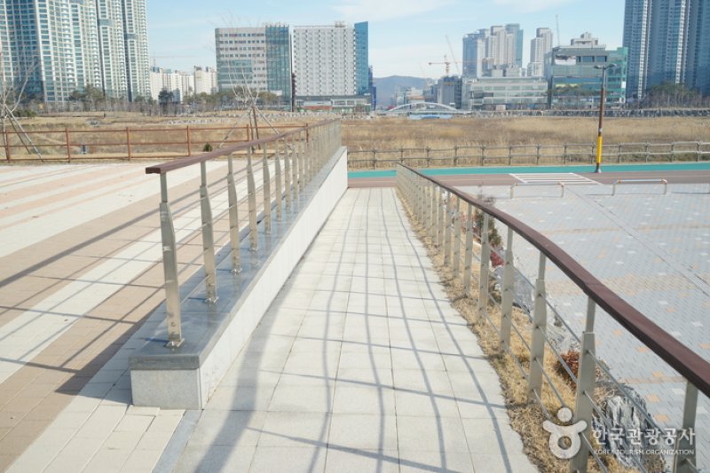 青羅湖水公園 (5/20)