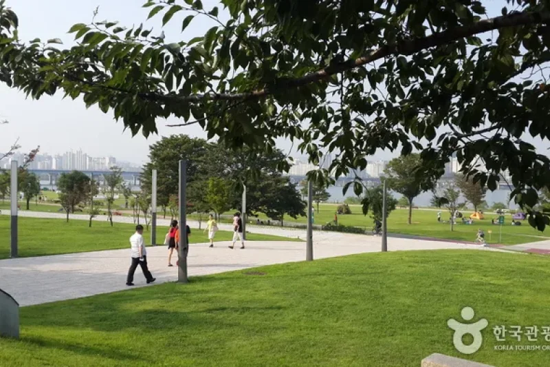 漢江市民公園 汝矣島地区（汝矣島漢江公園）한강시민공원 여의도지구 (12/12)