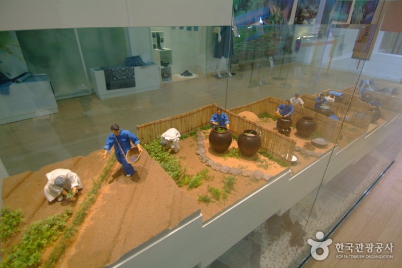 韓国天然染色博物館（한국천연염색박물관） (17/26)
