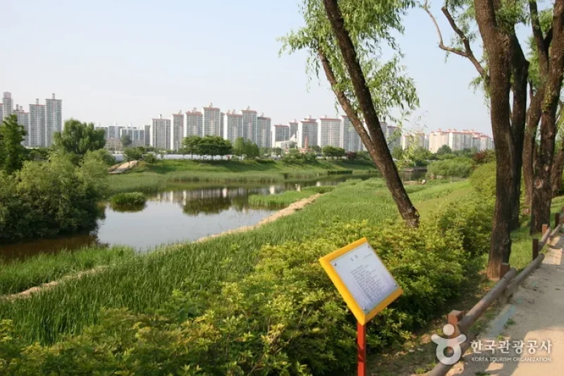 長子湖公園 (2/7)