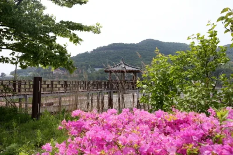 信矢茅島（信島・矢島・茅島）（신시모도（신도ㆍ시도ㆍ모도）） (5/23)