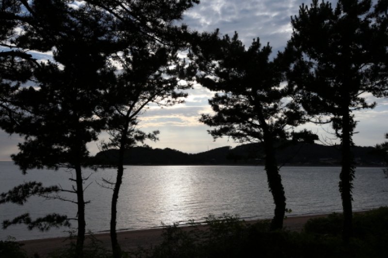 信矢茅島（信島・矢島・茅島）（신시모도（신도ㆍ시도ㆍ모도）） (21/23)