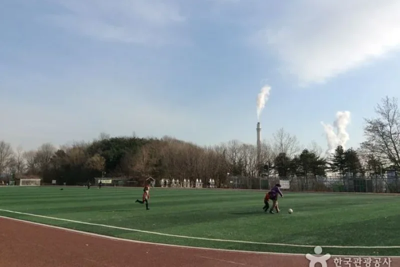 龍王山近隣公園 (3/4)