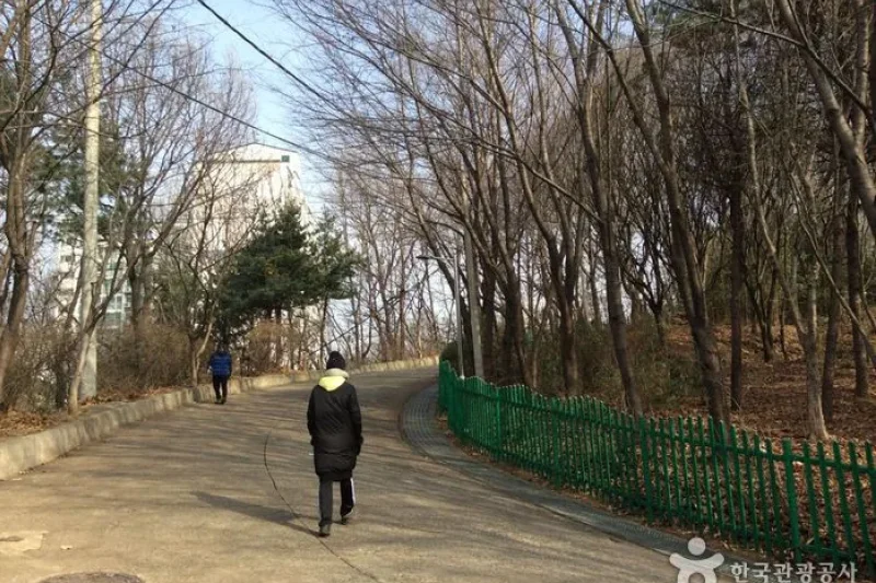 龍王山近隣公園 (4/4)